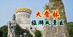 日逼的视频免费看中国浙江-绍兴大香林旅游风景区